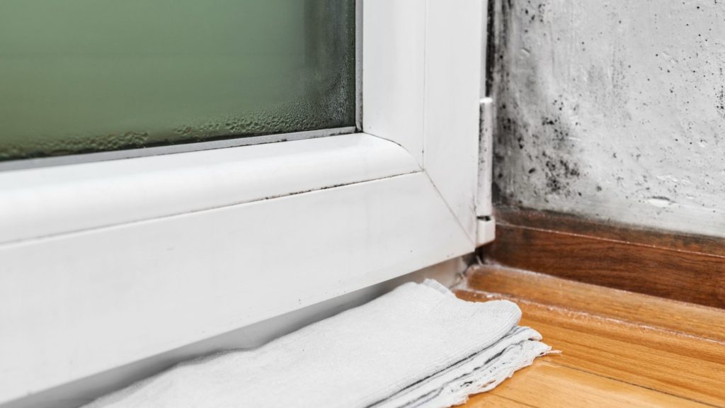 Bas de porte avec des moisissures